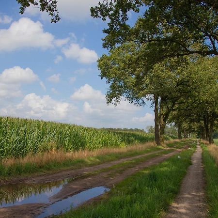 The Cat And The Owl B&B Groenlo Buitenkant foto